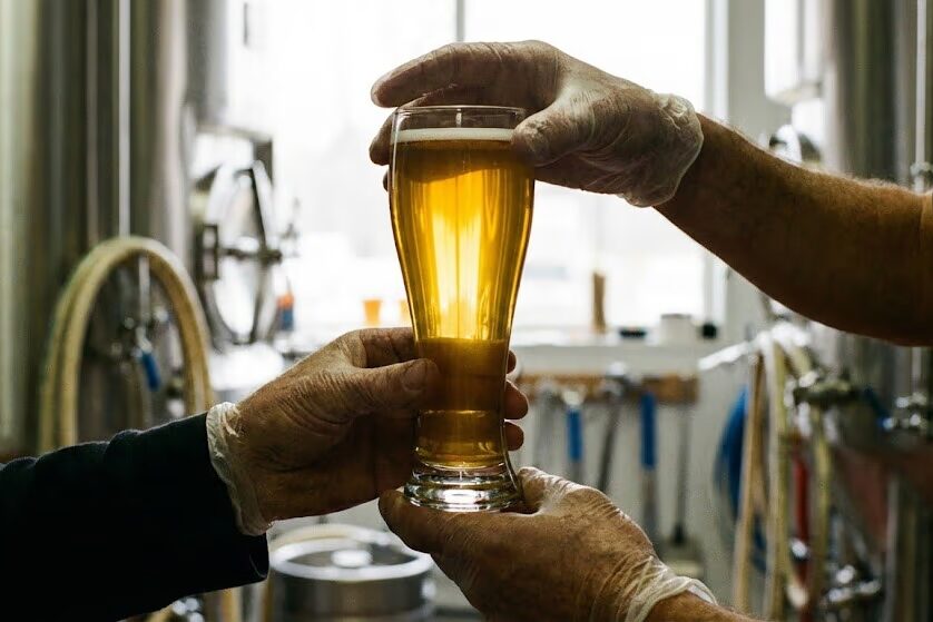 Brewer examining clarity and color of traditional pilsner in glass against light